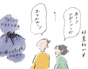 蜘蛛界で人気の我が家『まめ日和』第485回