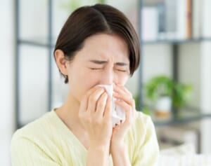 《症状がカギ》秋の花粉症？それとも風邪？“花粉症外来医”に聞いた「簡単な見分け方」