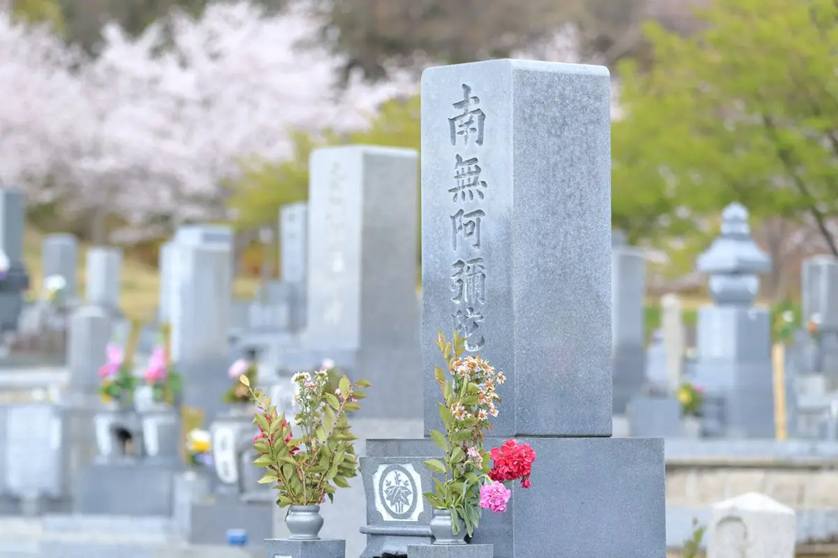 相場の半分！総費用50万円でできた“墓じまい”の手続き」行政書士に聞い 