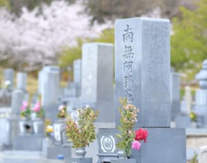 「相場の半分！総費用50万円でできた“墓じまい”の手続き」行政書士に聞いた3つのコツ