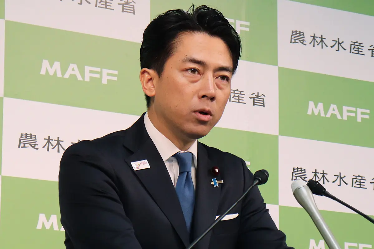 小泉 進次郎 嫌い