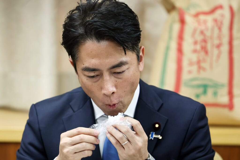 《“進次郎効果”が出るのは来年か》2025年の気になる“コメ事情”　新米と古米の価格は