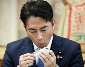 《“進次郎効果”が出るのは来年か》2025年の気になる“コメ事情”　新米と古米の価格は