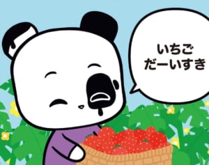 【フランスのパンダ ガドゥ】Épisode 53『いちごを食べすぎると…』