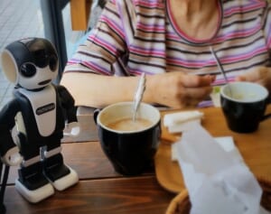 高齢者の“遠隔介護”がグッと楽になる！人気のおすすめ「見守りロボ」4選