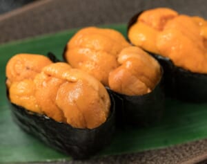 《回転寿司から“ウニ”が消滅》将来食べられなくなるかもしれない「寿司ネタ」15選