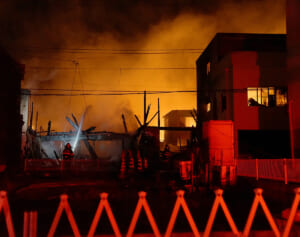 《すすまみれの猫も》大分大規模火災で懸念されるペットの安否…24時間体制のアニマルシェルターが明かした「支援状況」