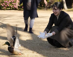 「とろけてて可愛かった」愛子さま　“鴨場外交団接遇”でカモが動かない…思わぬハプニングに癒された人が続出