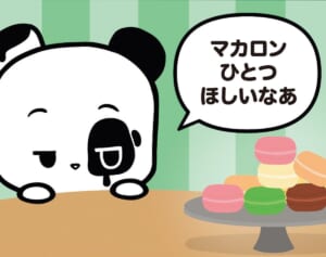 【フランスのパンダ ガドゥ】Épisode 58『食いしん坊のマカロン選び』