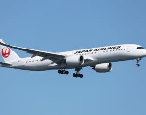 《保安管理に疑問の声》CAコスプレの一般女性客がJAL航空機内キッチンで記念撮影し物議…広報部が示した「意外な回答」