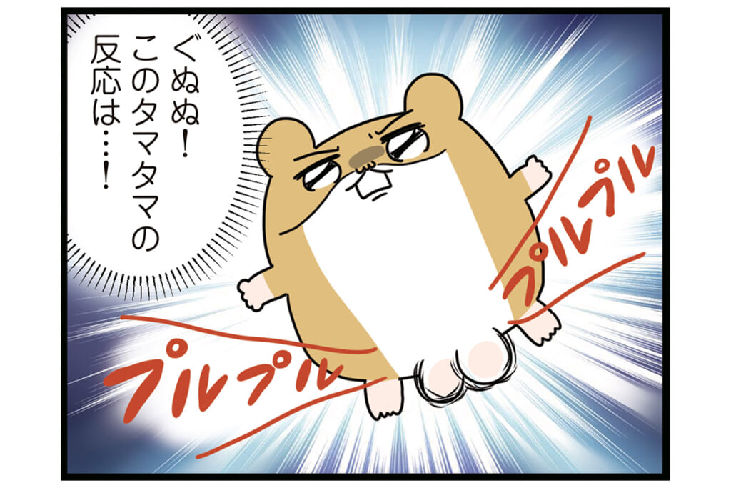 うちのゴミが晒されてる!?【怒りの毛玉戦士はむまる】VS.ゴミ漁りおばさん（1）