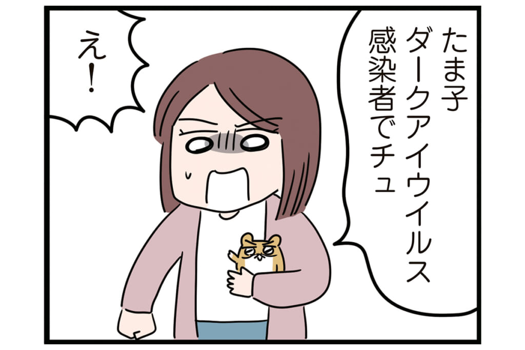 うちのゴミが晒されてる!?【怒りの毛玉戦士はむまる】VS.ゴミ漁りおばさん（1）