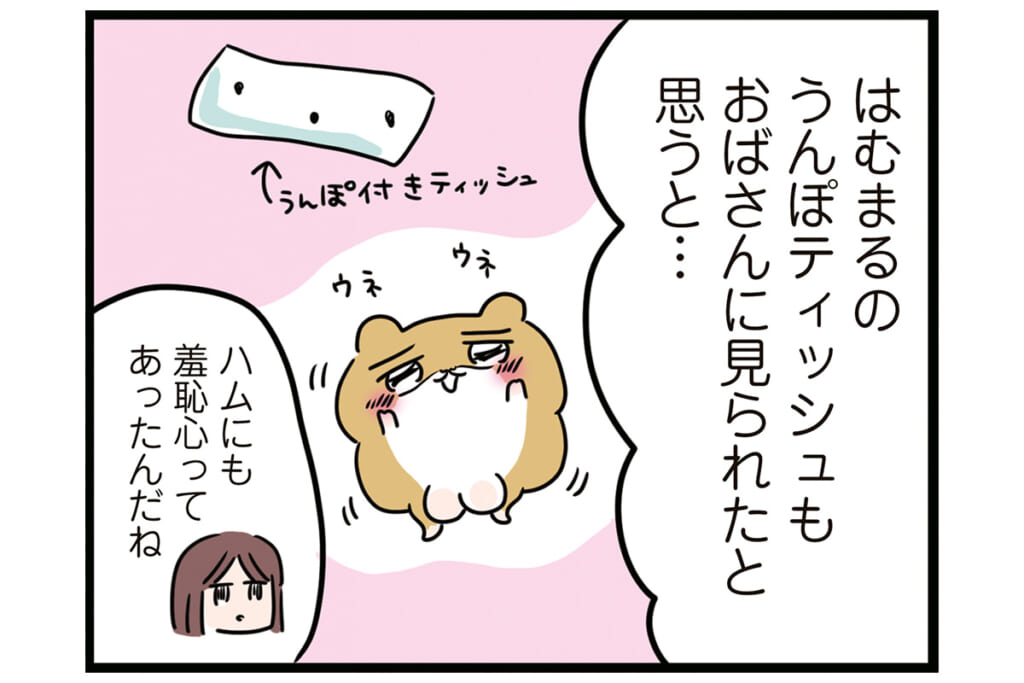 ちゃんと分別しろ！【怒りの毛玉戦士はむまる】VS.ゴミ漁りおばさん（2）