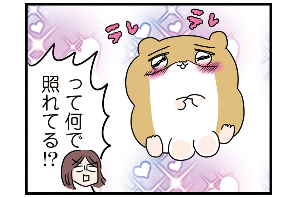 ちゃんと分別しろ！【怒りの毛玉戦士はむまる】VS.ゴミ漁りおばさん（2）