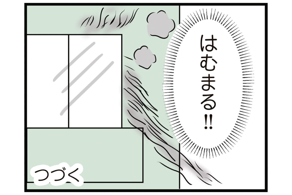 こんなものプラゴミに(怒)!【怒りの毛玉戦士はむまる】VS.ゴミ漁りおばさん(3)