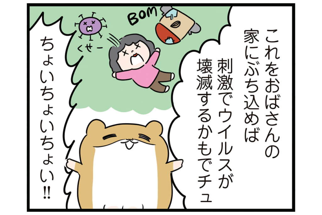 こんなものプラゴミに（怒）！【怒りの毛玉戦士はむまる】VS.ゴミ漁りおばさん（3）