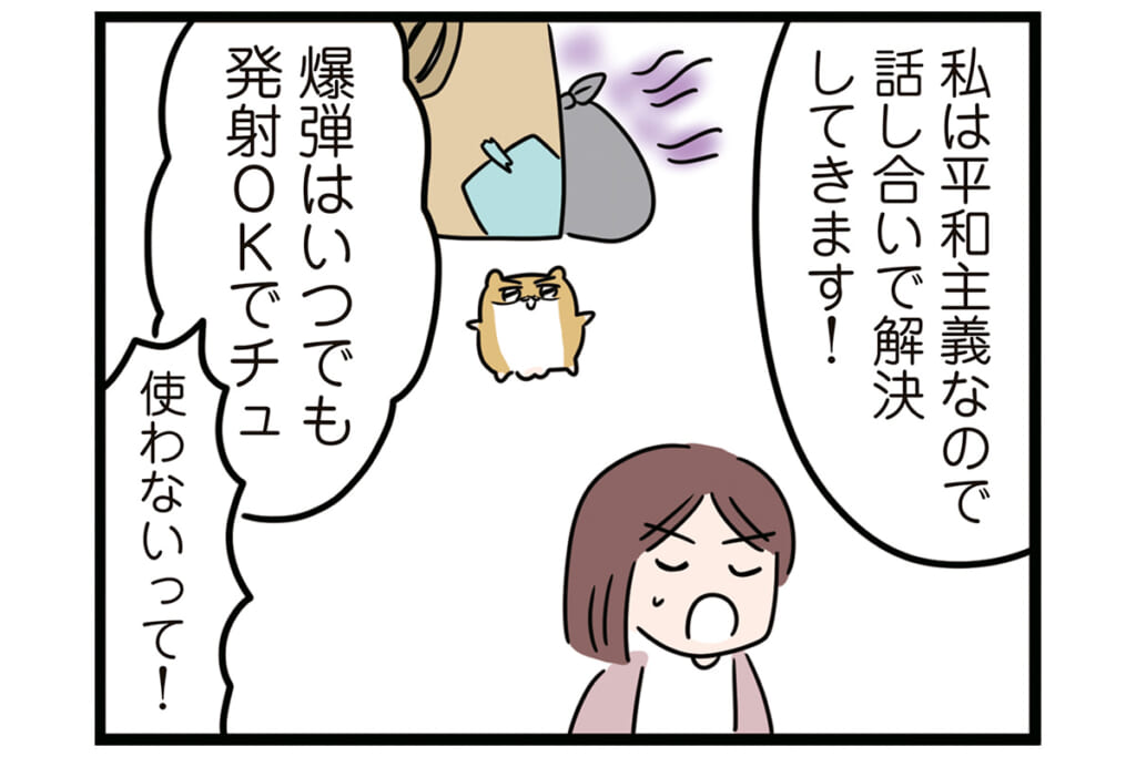 こんなものプラゴミに（怒）！【怒りの毛玉戦士はむまる】VS.ゴミ漁りおばさん（3）