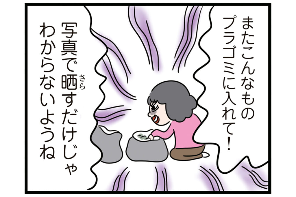 こんなものプラゴミに（怒）！【怒りの毛玉戦士はむまる】VS.ゴミ漁りおばさん（3）