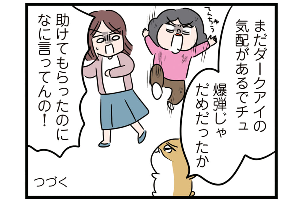 ゴミ爆弾が爆発!?【怒りの毛玉戦士はむまる】VS.ゴミ漁りおばさん（4）