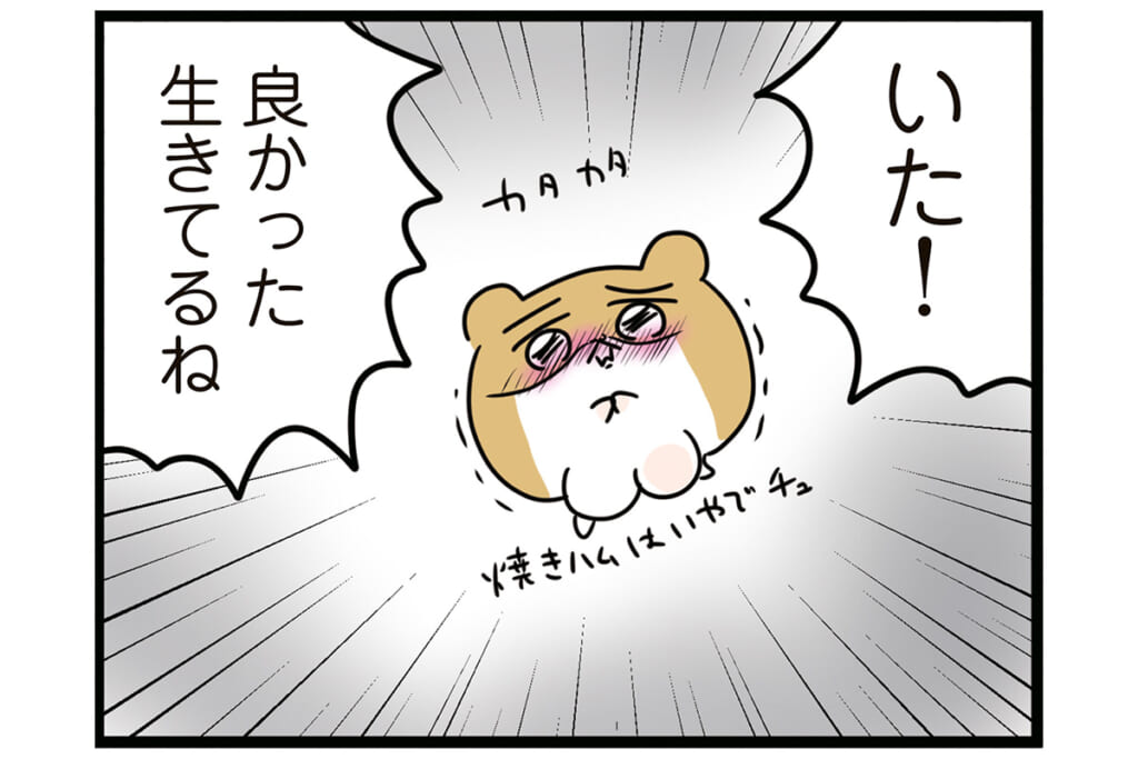 ゴミ爆弾が爆発!?【怒りの毛玉戦士はむまる】VS.ゴミ漁りおばさん（4）