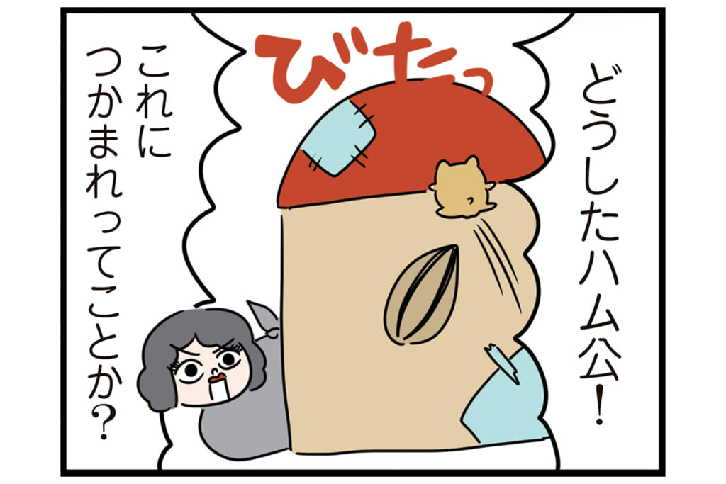 ゴミ爆弾が爆発!?【怒りの毛玉戦士はむまる】VS.ゴミ漁りおばさん（4）