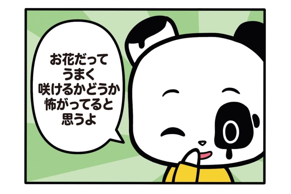 【フランスのパンダ ガドゥ】Épisode 71『挑戦』