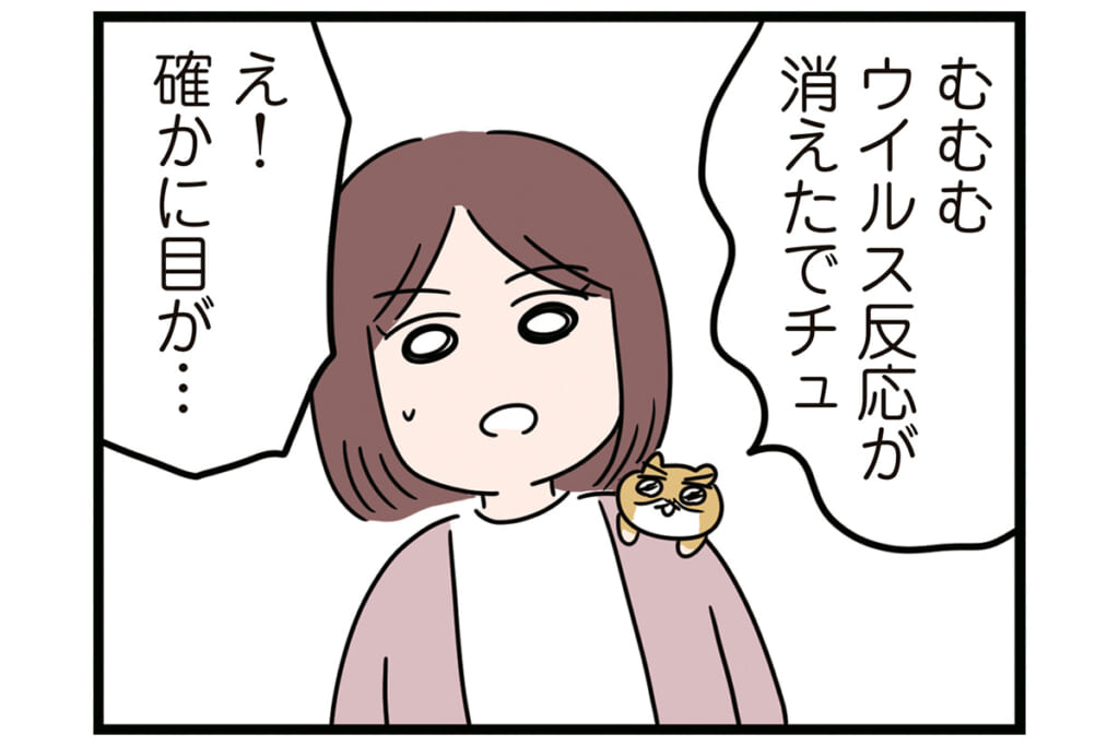 昔ゴミが原因で火事に…【怒りの毛玉戦士はむまる】VS.ゴミ漁りおばさん（5）