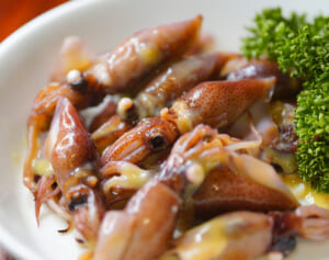 「体調崩さないか心配」名産地・兵庫での「わんこほたる選手権」優勝者は186匹記録も…SNSで寄せられた懸念に主催者側が示した「回答」