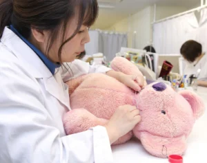 「亡くなった母を見ているのかも」ぬいぐるみ専門クリニックを“保護者たち”が訪れる「切実な理由」