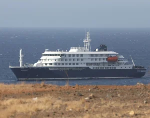 クルーズ船で集団感染のハンタウイルス　専門家は“日本国内の流行”には疑問も指摘する「感染リスクの高い場所」