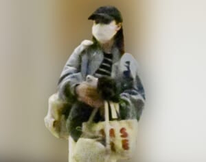 「ガチの事故なんでは」27歳“朝ドラ”女優の“奇抜”ドレスに視線集中…「脱ぎかけファッション？」と困惑の声も