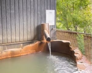 鹿児島県で5歳児が家族風呂から行方不明に…元刑事が指摘する「捜索をいっそう難航させる」痕跡の乏しさ