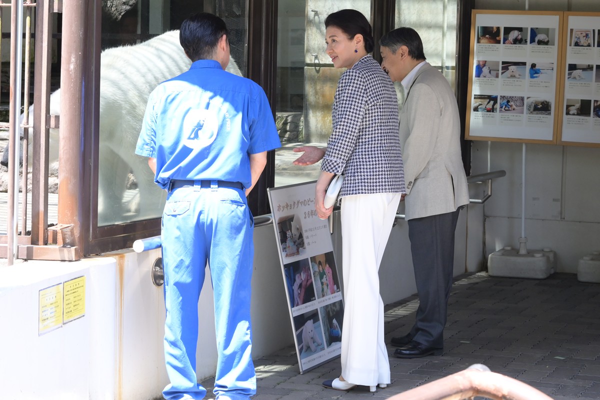 &nbsp;