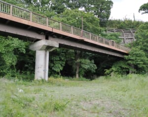 【相模原女子高生殺害】「若者や外国人がよくBBQを」現地住民も驚いた“意外な”遺体発見現場