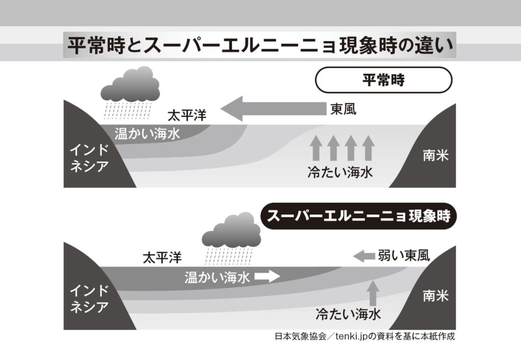 《家計に追い打ち》今夏“過去最大級”スーパーエルニーニョ発生で記録的酷暑に…作物不作で専門家は 「野菜3割高」と警鐘