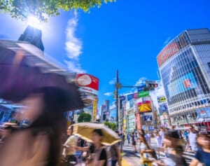 《家計に追い打ち》今夏“過去最大級”スーパーエルニーニョ発生で記録的酷暑に…作物不作で専門家は 「野菜3割高」と警鐘