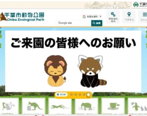 【動物園での“迷惑行為”】来園者が食物を「飼育動物に投げ入れ」…担当者は取材に「やめていただきたい」と悲痛なお願い