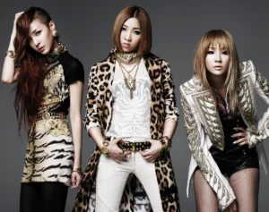 来日公演が再決定…2NE1・DARAインタビュー「みなさんの前に再び立てるのは奇跡」