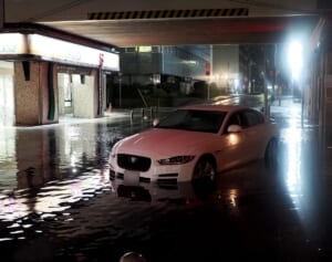 【千葉豪雨災害】県庁に1200人超の帰宅困難者が避難もタオル使えず、スマホ充電できない人も…露呈した大都市の“災害対策”