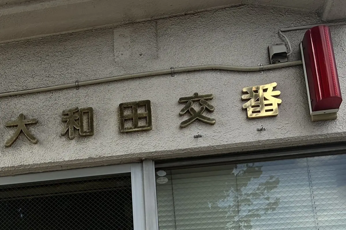 &nbsp;