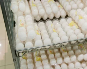 《過去最高値を更新！》「今のところ価格据え置きでやっているんで」テリー伊藤の実家・玉子焼店が迫られる「価格改定」への苦渋決断