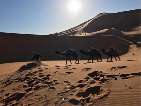 デジタルな日常から逃げよう 自然に帰るモロッコの砂漠生活 女性自身