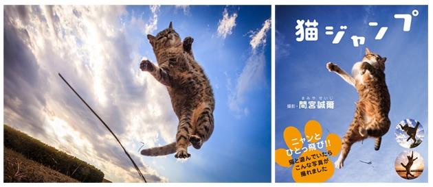 不思議可愛い癒しの猫写真 猫ジャンプ 撮影のコツ 女性自身