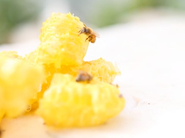 花粉症を改善 みつばちが作る 花粉だんご の驚きの効果 女性自身